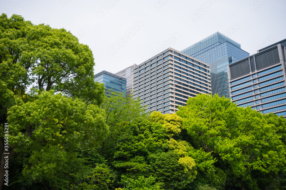 東京の新緑の中に立つオフィスビル