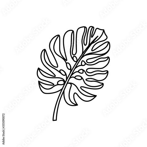 black and white of a tropical leaf