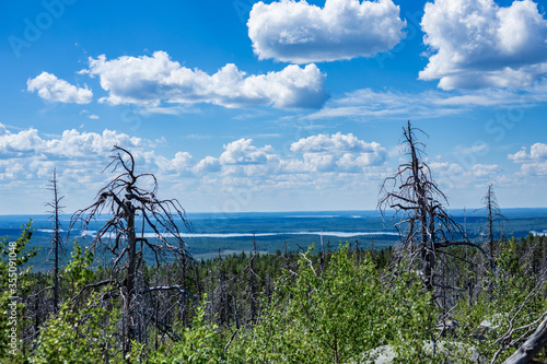 Dead forest and view from Mount Vottovaara in Karelia, Russia photo