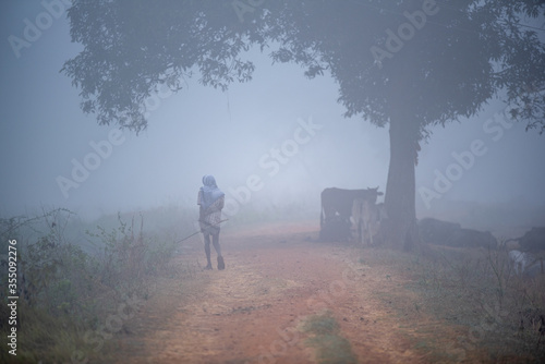 A farmer walks through a foggy road on a winter morning in a village, Aswaraopeta, Telangana, India.