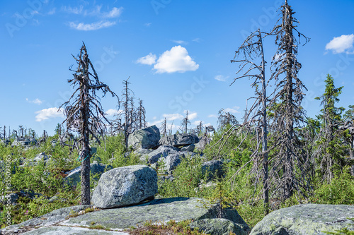 Dead forest and stones on the top of Mount Vottovaara in Karelia, Russia photo