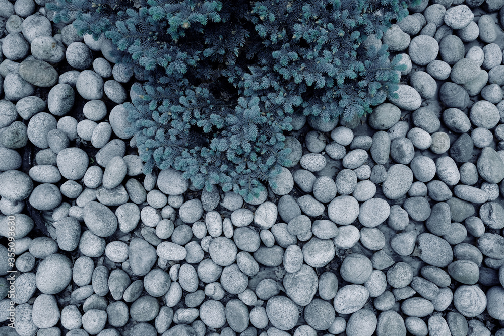 White round stones and needles. Background of stones and landscape design. High quality photo. White round stones and needles. Background of stones and landscape design. High quality photo.
