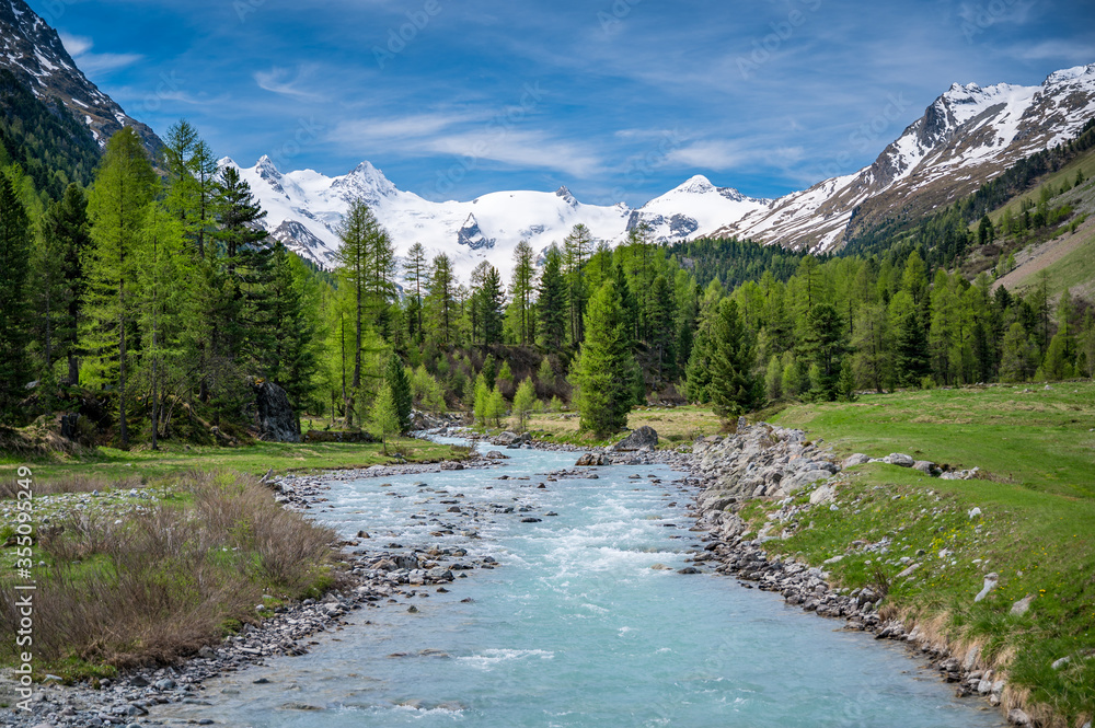 Obraz premium Wildbach Ova da Roseg im naturbelassenen Val Roseg, Engadin