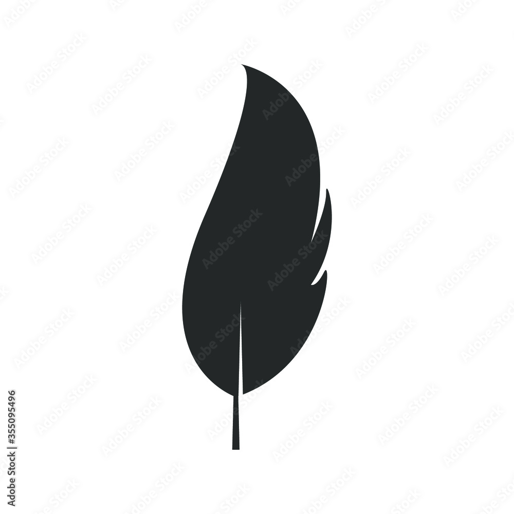 feather vector illustration feather vector illustration