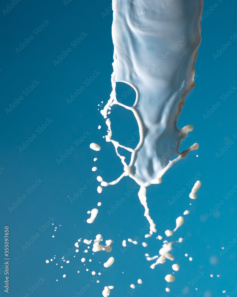 Splashes of white milk isolated on a blue background. Splashes of white milk isolated on a blue background.
