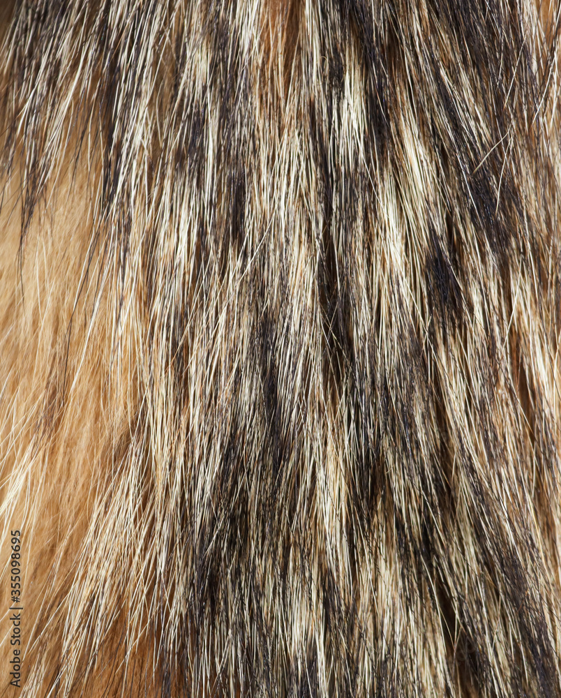 Fototapeta premium Animal fur as an abstract background.