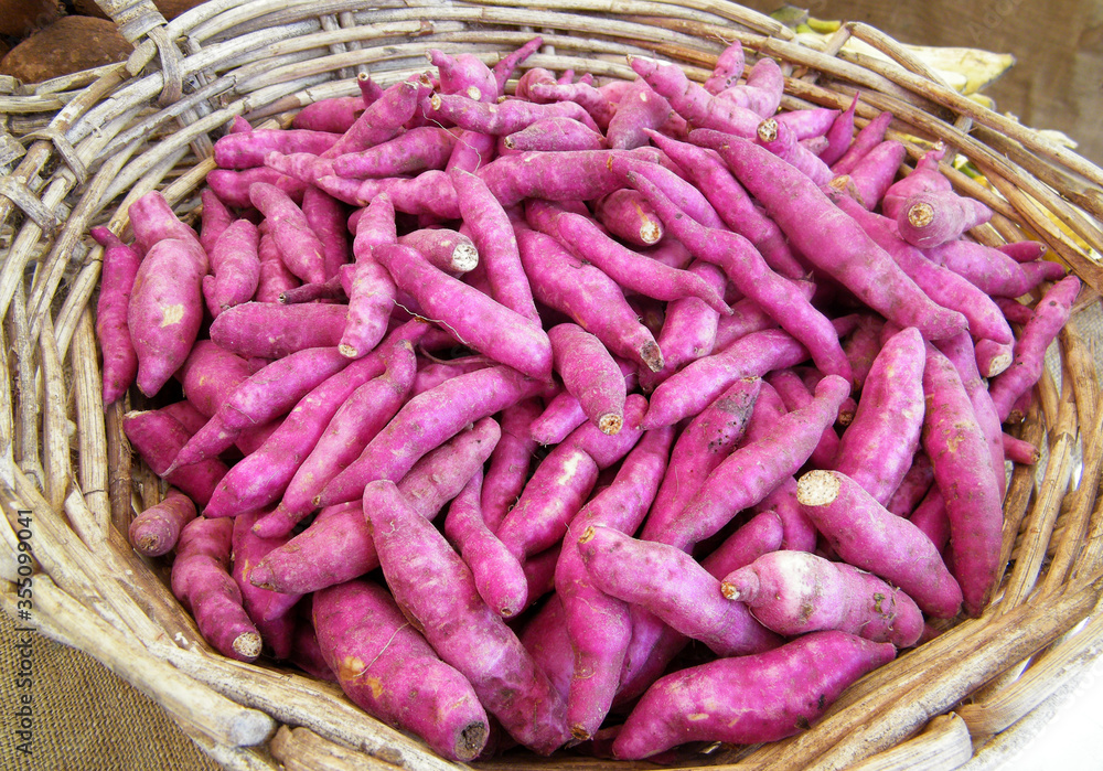 Bucket of Sweet potatoes for sell in Sri Lanaka. Bucket of Sweet potatoes for sell in Sri Lanaka.