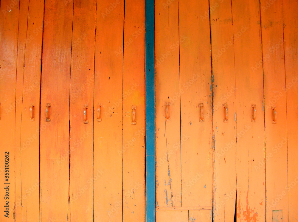 Fototapeta premium Timber plank panel door.