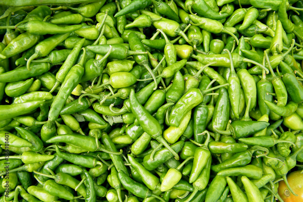Green Chillies Pepper.
