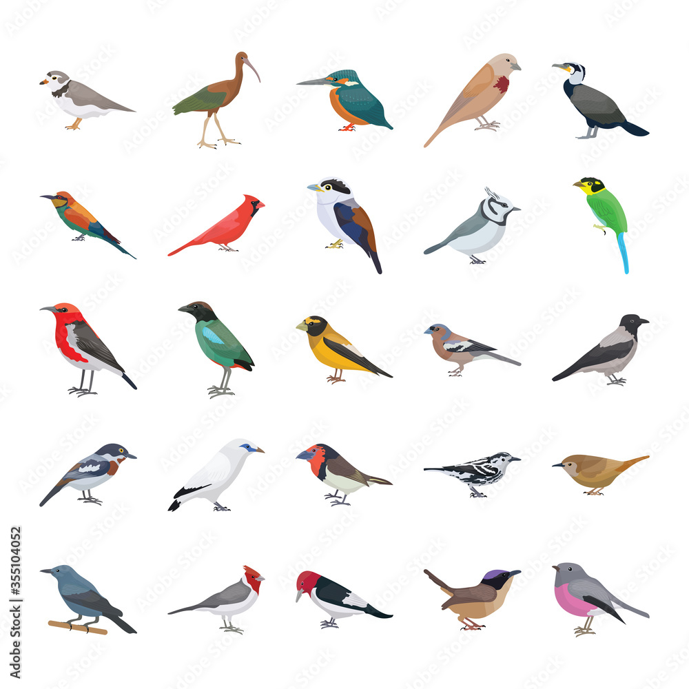 Obraz Birds Flat Vector Icons Collection