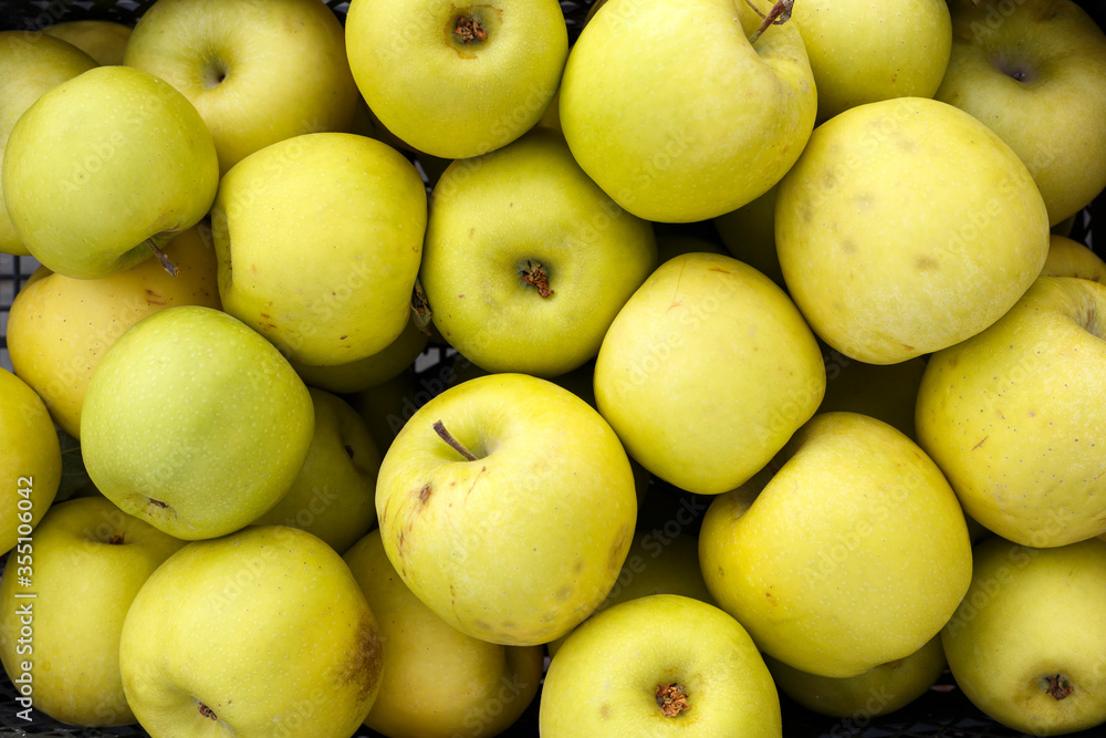 Fresh green apples fruit. Fresh green apples fruit.