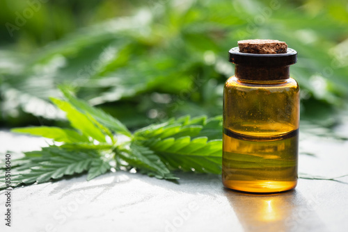 Cannabis cbd essential oil bottle and green leaves on gray flat lay background.