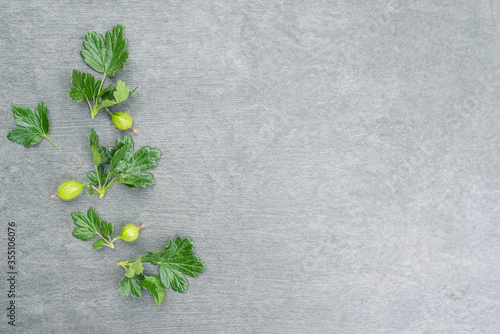 Gooseberry leaves on a gray flat lay background with copy space. Gooseberry based product concept.