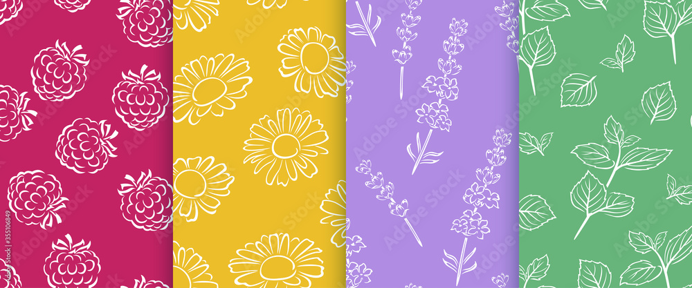 Set of botanical outline seamless pattern. Vector contour of berry, herb and flowers on bright color background. Set of botanical outline seamless pattern. Vector contour of berry, herb and flowers on bright color background.
