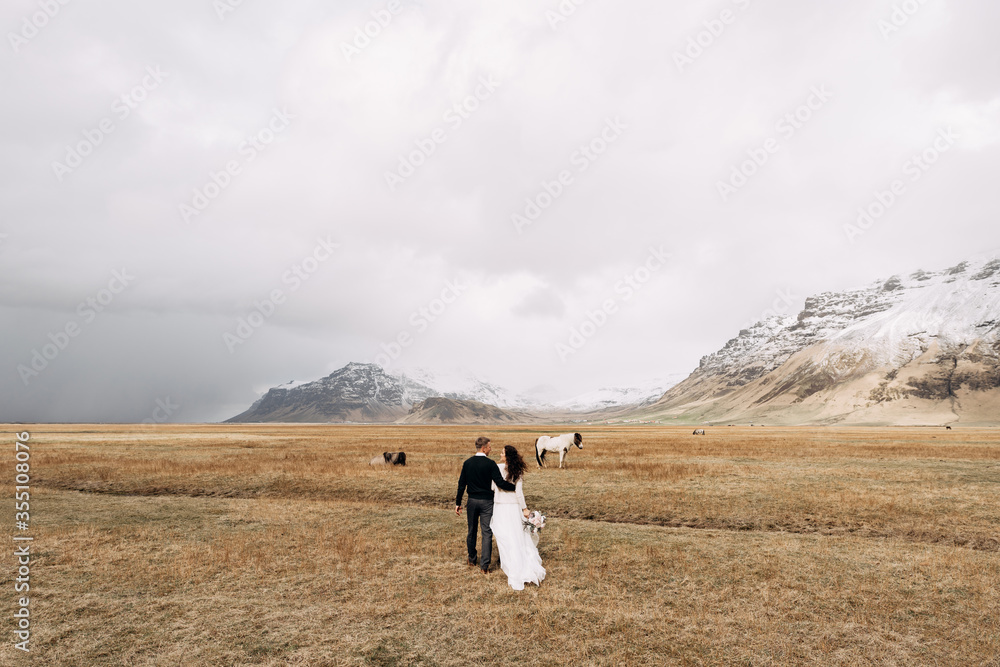 Wedding couple in after with horses. The groom hugs the bride. Destination Iceland wedding photo session with Icelandic horses. 