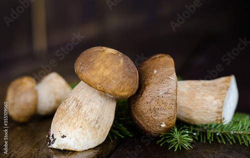 Fresh forest mushrooms on a wooden background. 