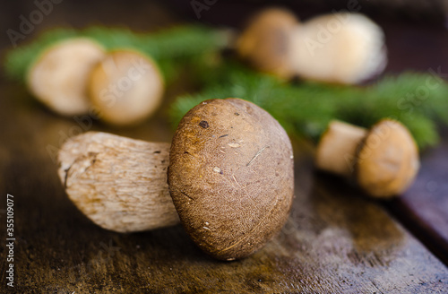 Fresh forest mushrooms on a wooden background.
