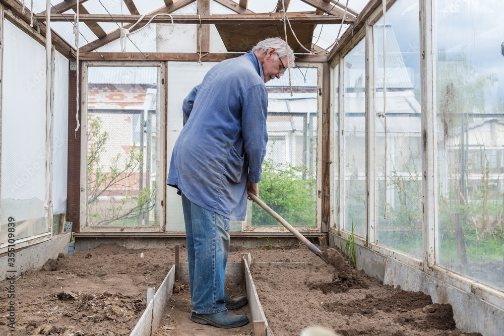 Cheerful senior Elderly man digging garden spring time