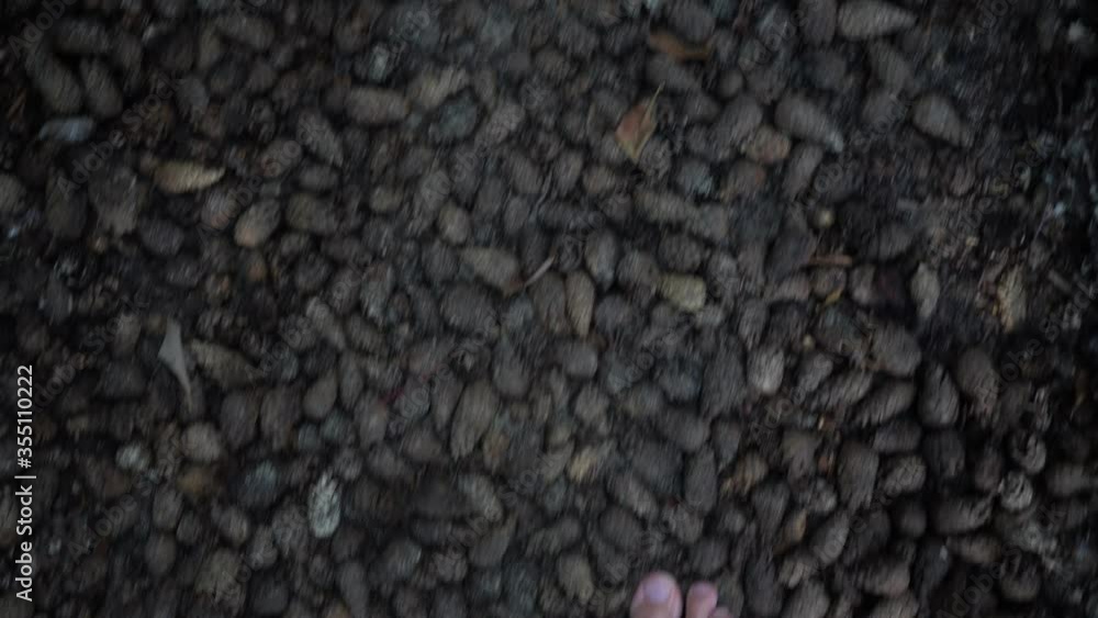 Male bare feet walk on cones surface. Natural massage. Sickness prevention. Male bare feet walk on cones surface. Natural massage. Sickness prevention.