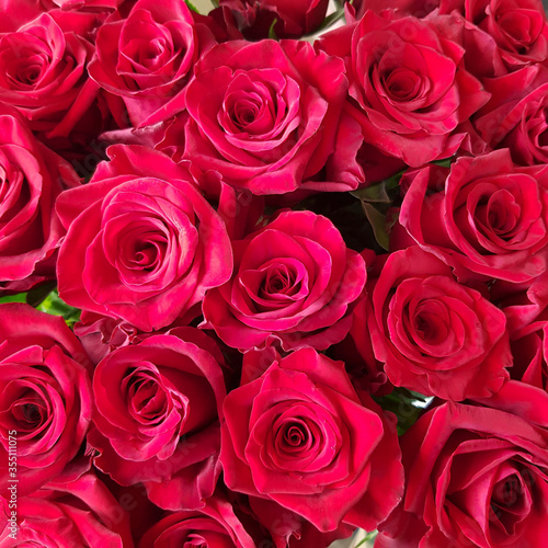Red roses background. Top view.
