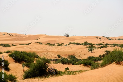 landscape in the desert © Morten H