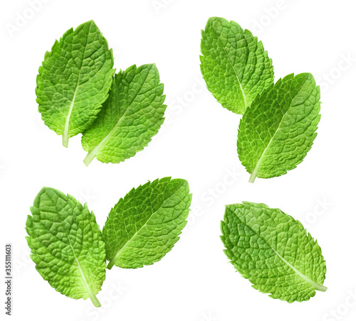 Collection of delicious fresh mint leaves, isolated on white background
