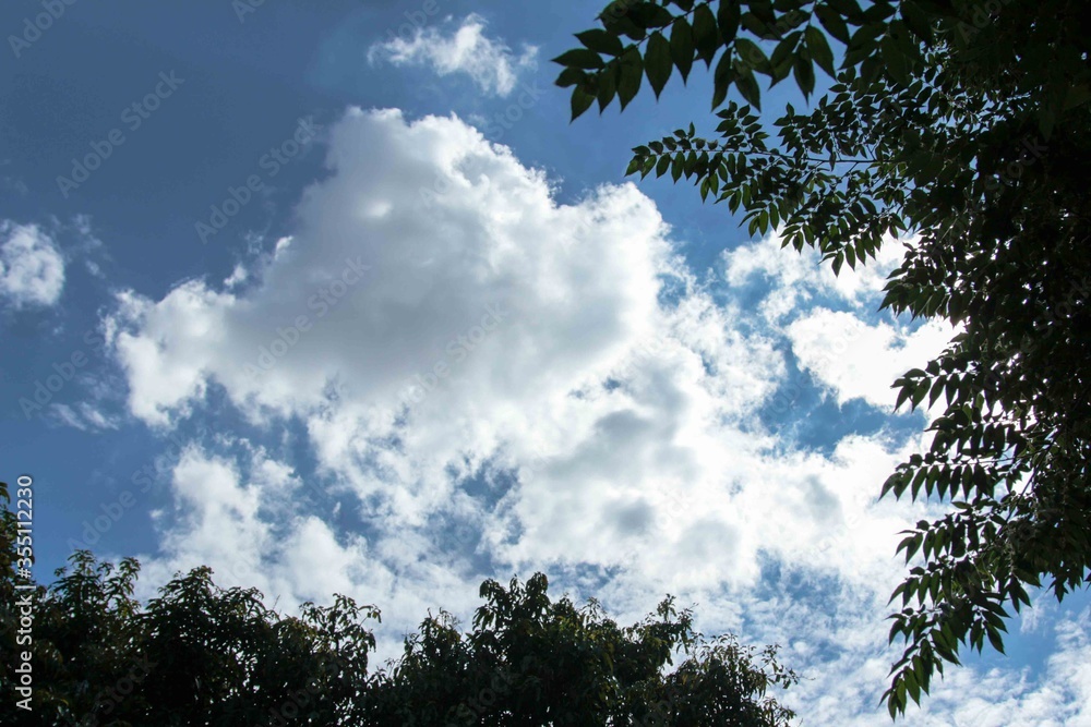 Obraz premium sun and clouds sky and clouds