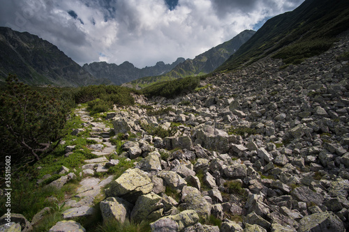 Mountain hiking trail lined with large gray stones covered with green moss surrounded by low mountain pine. In the distance visible high mountains and a steep path, curving among the rocks.