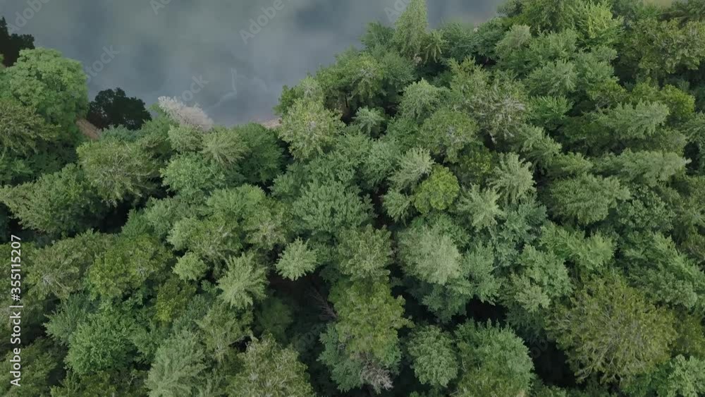 Aerial drone video of beautiful Sinevir lake, natural resort in Ukraine. Flying drone camera shoot footage of blue water and green forest from above. Shore with trees in forest near lake overhead view Aerial drone video of beautiful Sinevir lake, natural resort in Ukraine. Flying drone camera shoot footage of blue water and green forest from above. Shore with trees in forest near lake overhead view