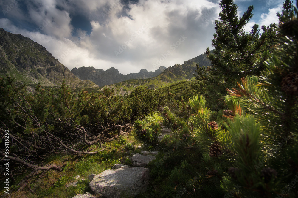 Mountain hiking trail lined with large gray stones covered with green moss surrounded by low mountain pine. In the distance visible high mountains and a steep path, curving among the rocks. Mountain hiking trail lined with large gray stones covered with green moss surrounded by low mountain pine. In the distance visible high mountains and a steep path, curving among the rocks.
