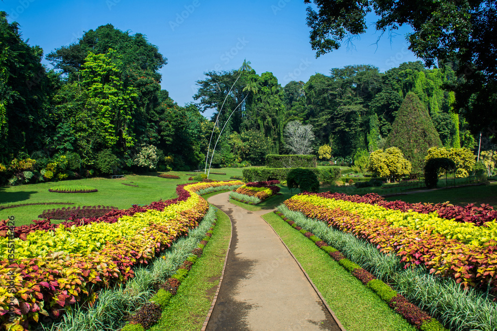 Royal Botanic Gardens, Peradeniya, Kandy, Central Province of Sri Lanka.