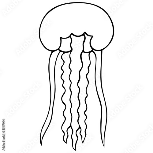 Jellyfish. Eared Aurelia. Vector illustration. Outline on a white isolated background. Inhabitant of the ocean. Marine invertebrate animal with tentacles. Hand drawing style. Sketch. Coloring book.