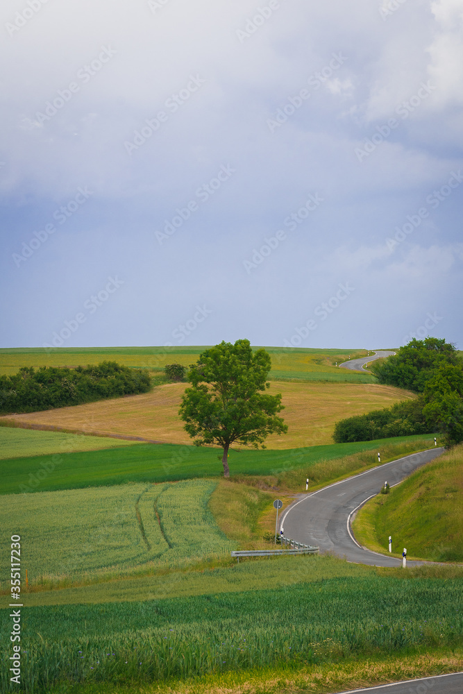 Idyllic countryside panoramic view. Green meadow, hills, field and road under blue sky