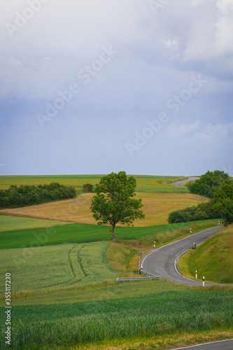 Idyllic countryside panoramic view. Green meadow, hills, field and road under blue sky