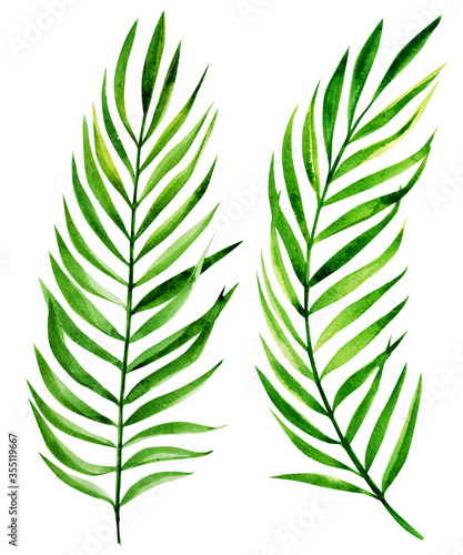 watercolor tropical leaves big set.
Handmade illustration isolated on white background, can be used for decoration of printed materials, cards and for others. Tropical theme.