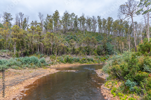 Arthur river at Tarkine forest in Tasmania, Australia photo