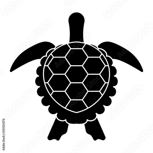 sea turtle or marine turtle top view flat icon for apps and websites