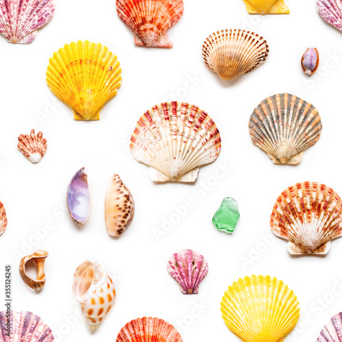 Seamless photo pattern with different sea shells. Flat lay with colorful mollusc shells, corals and wave-worn pieces of glass and stones. Top view on finds from ocean beach.