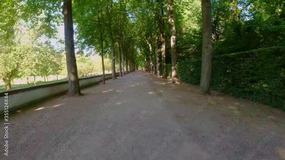 Hyperlapse of dirt path with tall trees lining the edges, Germany. Hyperlapse of dirt path with tall trees lining the edges, Germany.