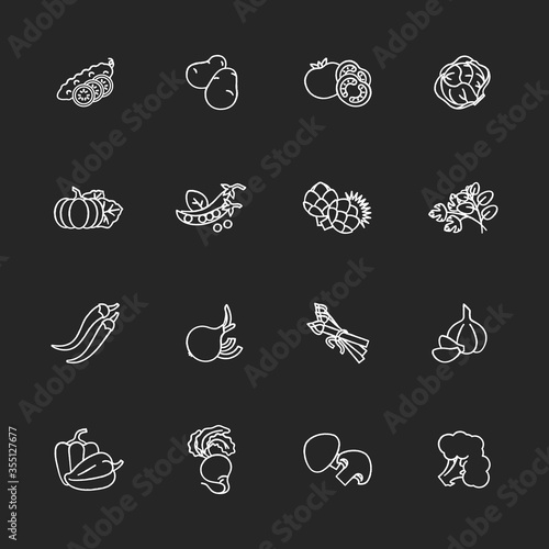 Vegetable chalk white icons set on black background. Tomato for ketchup. Potato and lettuce. Raw root  ripe bulb. Seasonal healthy food. Raw veggies. Isolated vector chalkboard illustrations