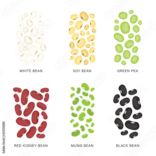 Set of Beans and nuts. Organic and healthy food Vector illustration.