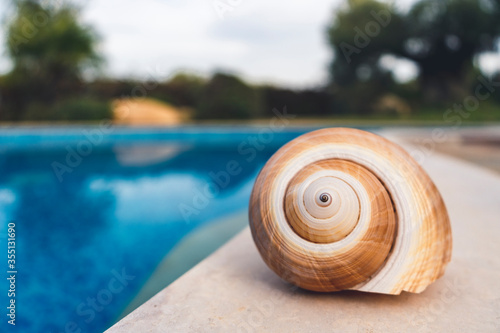 shell at pool