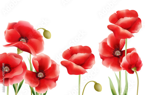 Poppy flowers on isolated background. Place for text. Watercolor