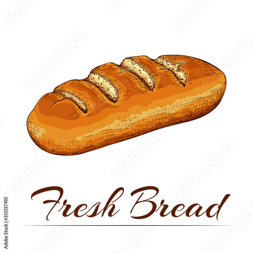 ink drawn colored wheat bread isolated on white backdrop. traditional loaf of bread doodle icon. Vector sketch in vintage engraving style. bakery goods illustration for poster, label, menu bakery shop