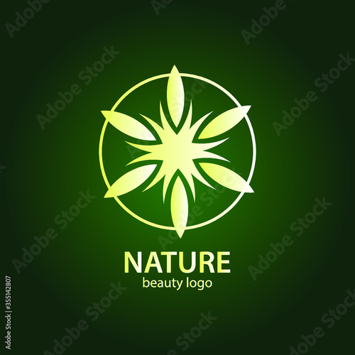 nature beauty logo vector image