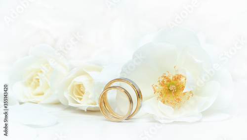 Close-up of wedding rings on background of roses