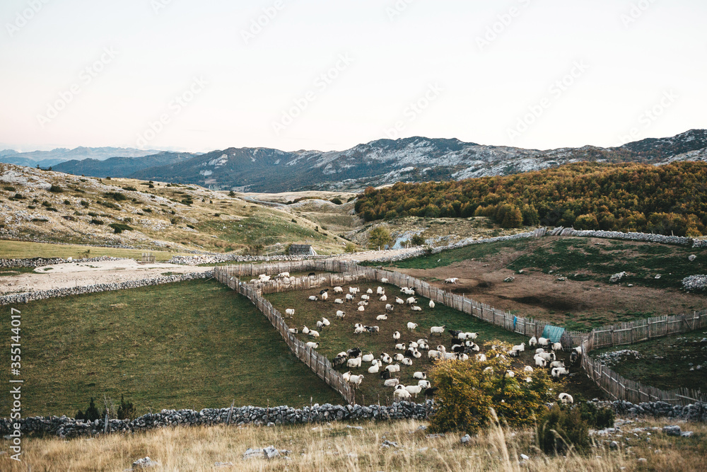 Rural natural landscape with sheepfolds
