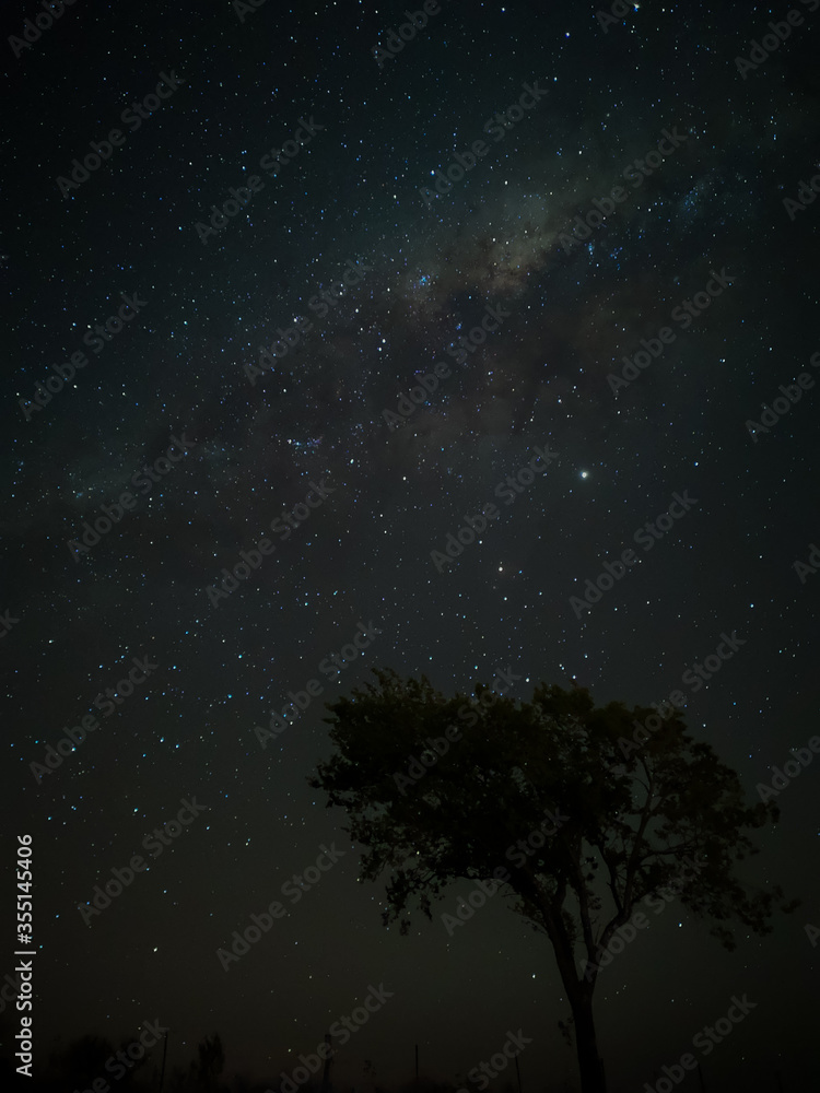 Milky Way in starry sky with tree and landscape below, timelapse sequence image 93-100
Night landscape in the mountains of Argentina - Córdoba - Condor Copina Milky Way in starry sky with tree and landscape below, timelapse sequence image 93-100
Night landscape in the mountains of Argentina - Córdoba - Condor Copina