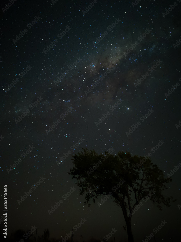 Milky Way in starry sky with tree and landscape below, timelapse sequence image 82-100
Night landscape in the mountains of Argentina - Córdoba - Condor Copina