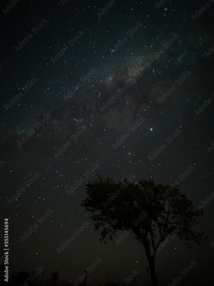 Milky Way in starry sky with tree and landscape below, timelapse sequence image 80-100
Night landscape in the mountains of Argentina - Córdoba - Condor Copina